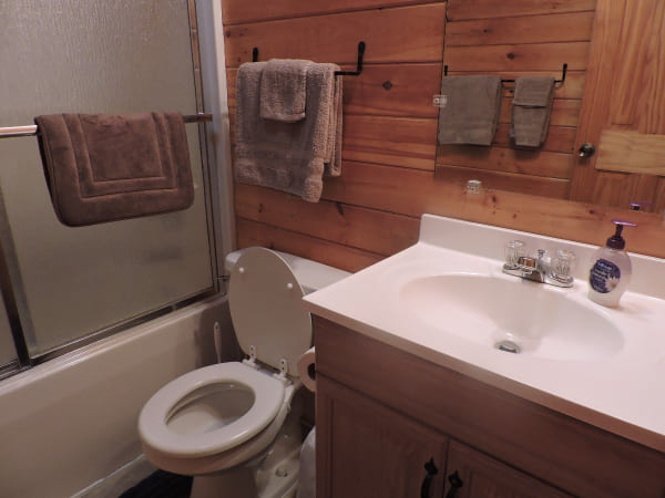 Shower/Bath Combination Bathroom